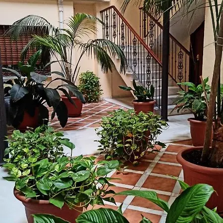Botanic Apartment *